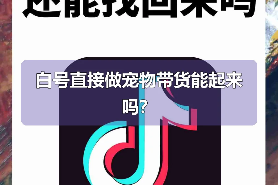 白号直接做宠物带货能起来吗？